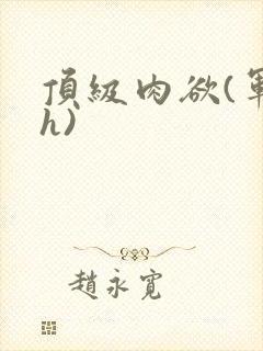 顶级肉欲(军高h)