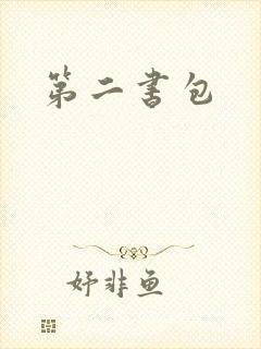 第二书包