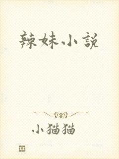 辣妹小说