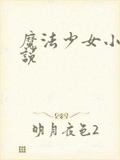 魔法少女小圆小说