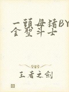 一头母猪BY黄金圣斗士