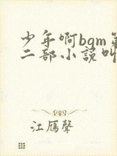 少年啊bgm第二部小说叫什么