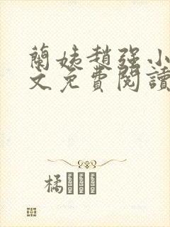 兰姨赵强小说全文免费阅读