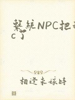 系统NPC把我c了