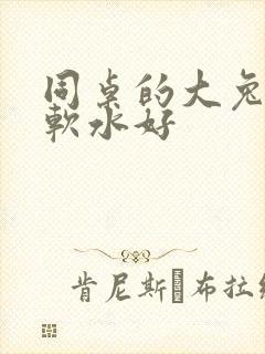 同桌的大兔子好软水好