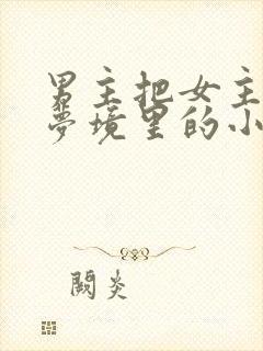 男主把女主拖进梦境里的小说