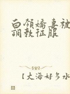 白领娇妻被老板调教征服