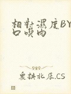 相对湿度BY大口吃肉