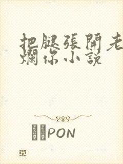把腿张开老子臊烂你小说