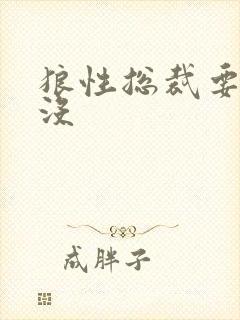 狼性总裁要够了没