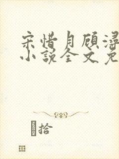 宋惜月顾浔渊的小说全文免费阅读