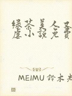 绿茶美人又在求虐小说免费阅读笔趣阁