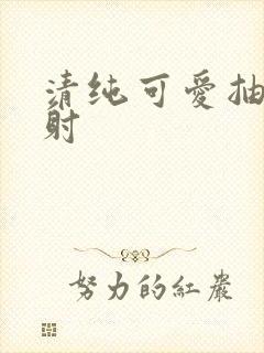 清纯可爱抽插内射