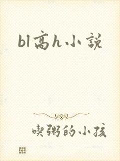 bl高h小说