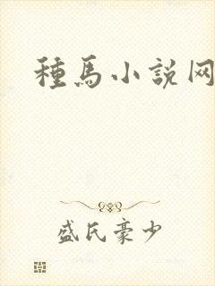 种马小说网