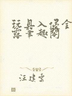 玩具入侵金银花露笔趣阁