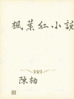 枫叶红小说