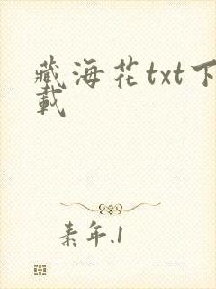 藏海花txt下载