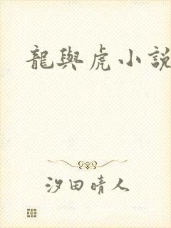 龙与虎小说