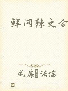鲜网辣文合集