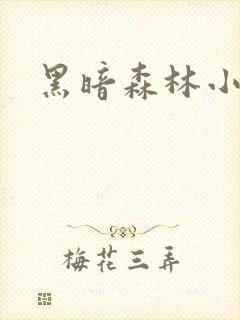黑暗森林小说