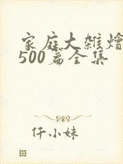 家庭大杂烩小说500篇全集