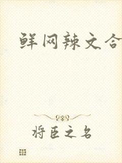 鲜网辣文合集