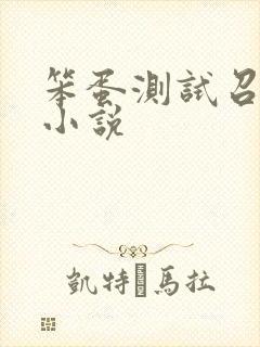 笨蛋测试召唤兽小说