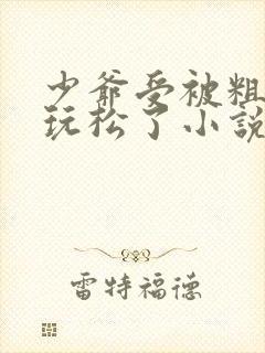 少爷受被粗汉H玩松了小说