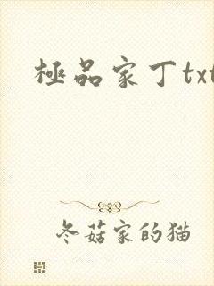 极品家丁txt