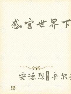 感官世界下载