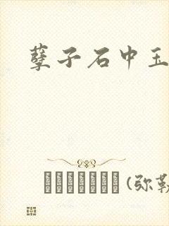 孽子石中玉