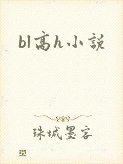bl高h小说