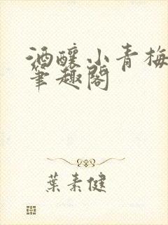 酒酿小青梅po笔趣阁
