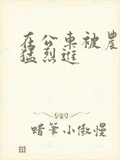 在公车被农民工猛烈进