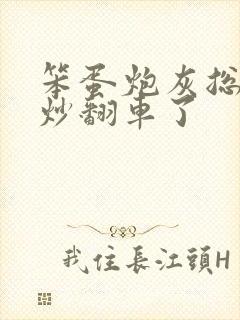 笨蛋炮灰总被爆炒翻车了