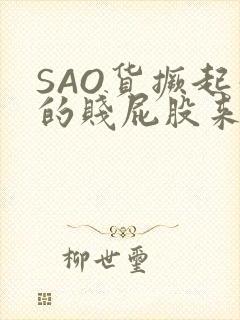 SAO货撅起你的贱屁股来