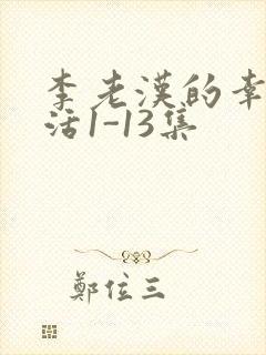 李老汉的幸福生活1-13集