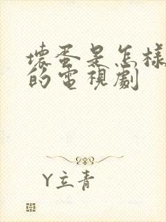 坏蛋是怎样炼成的电视剧