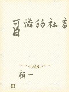 可怜的社畜东度日