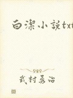 白洁小说txt