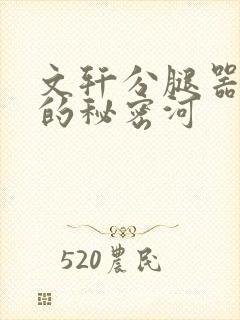 文轩分腿器河马的秘密河