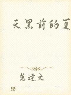 天黑前的夏天