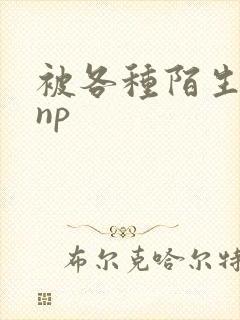 被各种陌生人 np