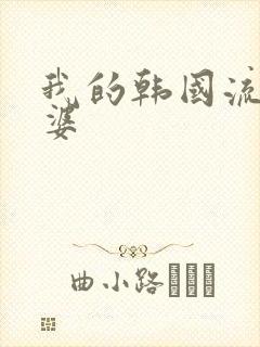 我的韩国流氓老婆