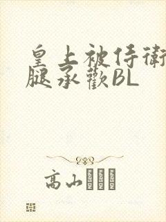 皇上被侍卫抵开腿承欢BL