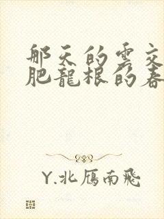 那天的云交雨合肥龙根的春天