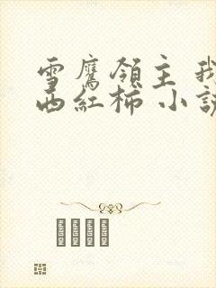 雪鹰领主 我吃西红柿 小说