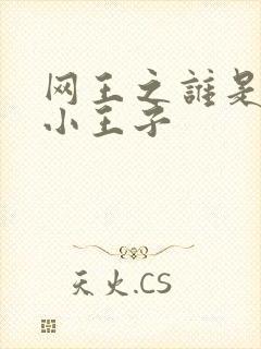 网王之谁是我的小王子