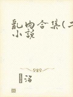 乱肉合集(二)小说